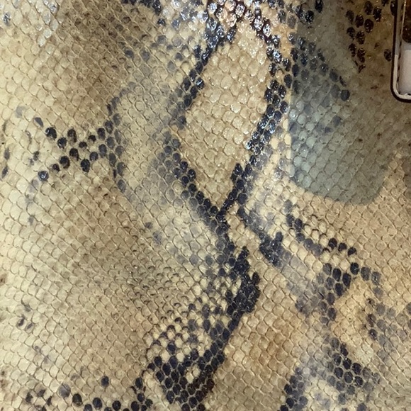 COACH Madison Lindsey python satchel - Picture 6 of 16